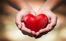 �������ǲ���(�й���)�ٷ���վ